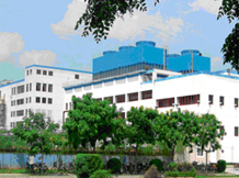 Shijiazhuang Kunen Trading Co., Ltd